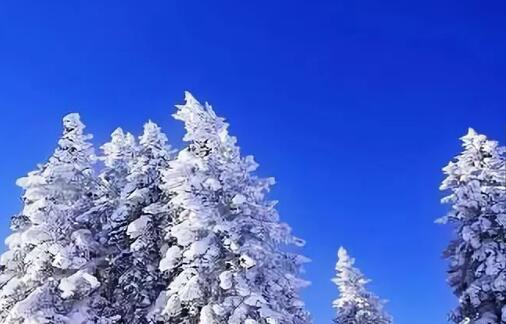 《小舜娃朗诵园》第四十九期——看诗人笔下的雪 听雪落下的声音