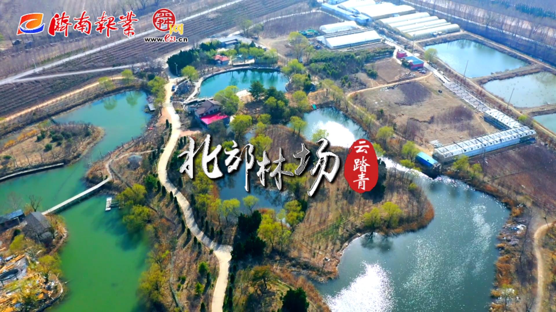 3.12云踏青特辑   北郊林场邀您“云”植树